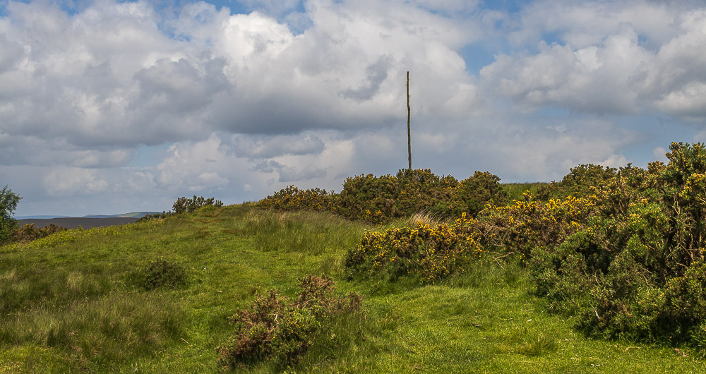 Wooden Pole